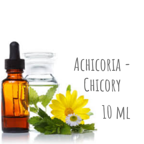 Achicoria - Chicory 10ml
