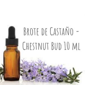 Brote de Castaño - Chestnut Bud 10ml