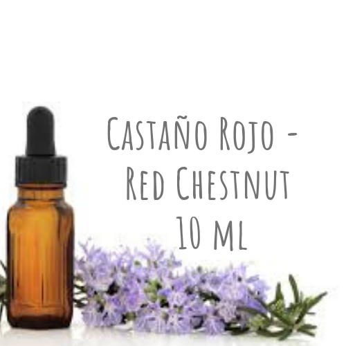 Castaño Rojo - Red Chestnut 10ml