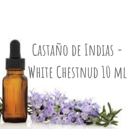 Castaño de Indias - White Chestnud 10ml
