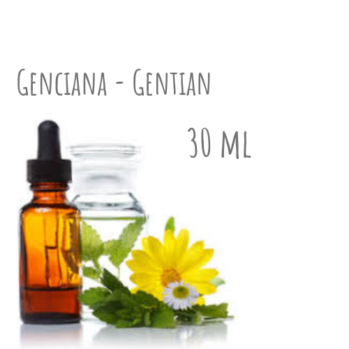 Genciana - Gentian 30ml