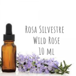 Rosa Silvestre - Wild Rose 10ml